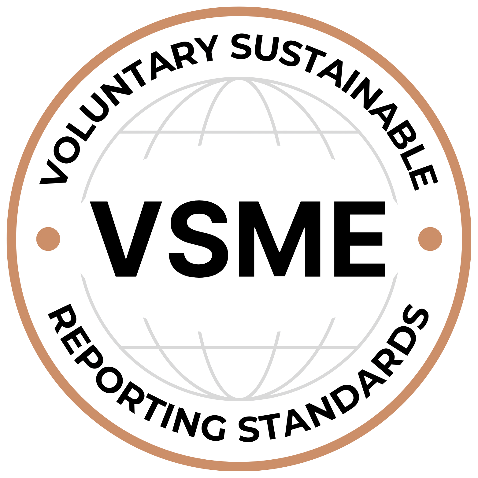 VSME Medals logo