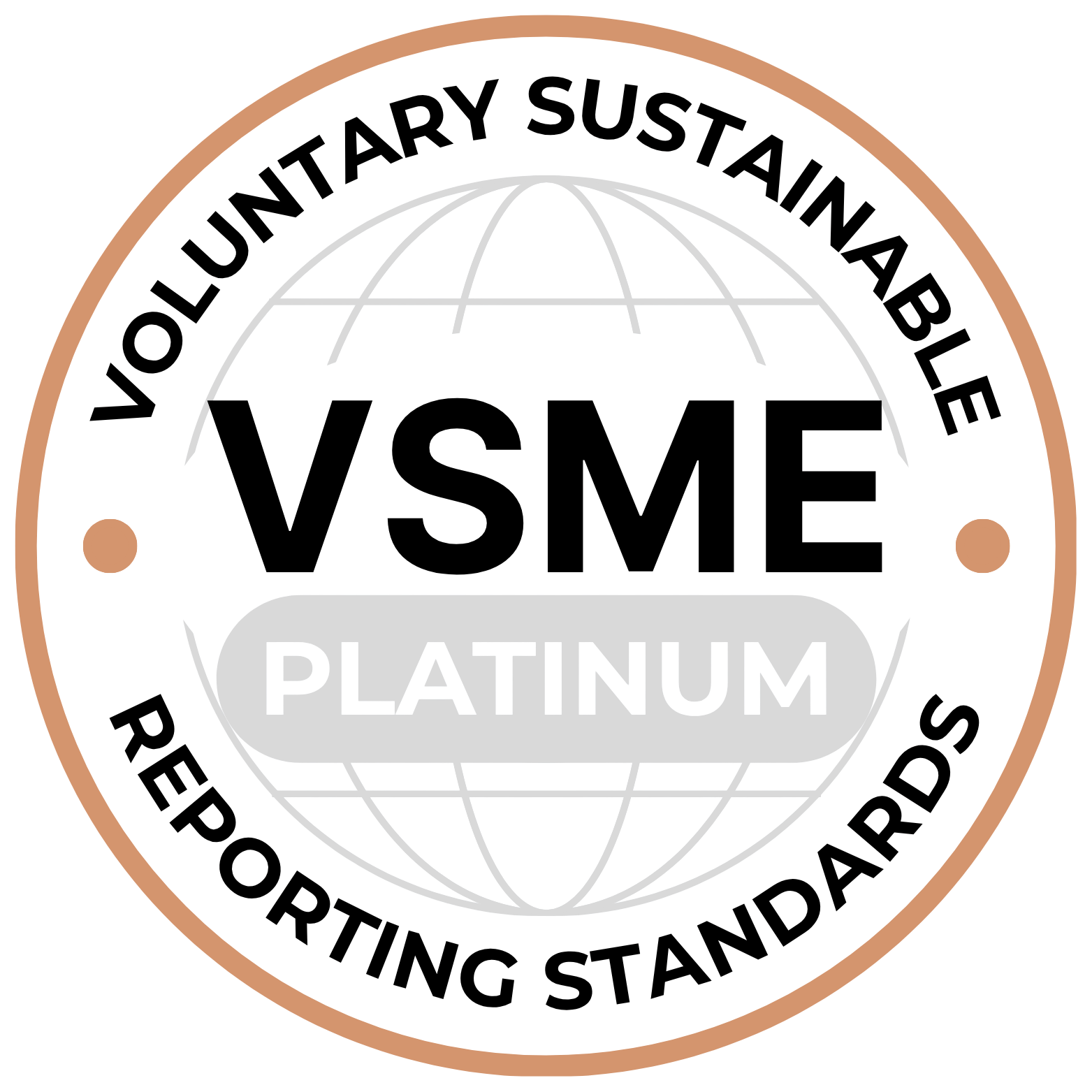 Platinum VSME Medal