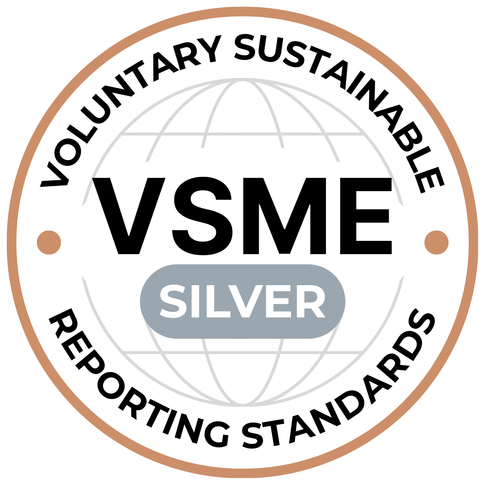 Silver VSME Medal