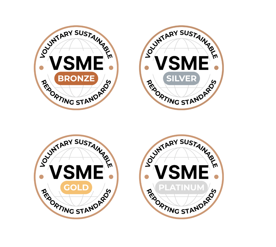 VSME Medals, Bronze, Silver, Gold and Platinum badges